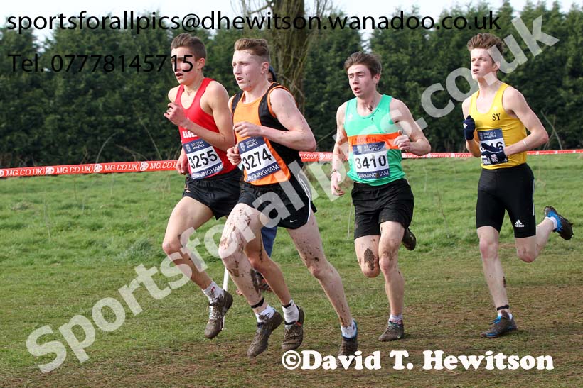 Zak Miller (Greater Manchester) and Jordan Rowe (Essex) lead from Iolo Llyr Hughes (North Wales) and Jack Crabtree(Surrey) during the under-17 mens Inter Counties Cross Country, Cofton Park, Birmingham. Photo: David T. Hewitson/Sports for All Pics